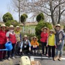 고창군치매안심센터 이미지