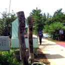 진주축산업협동조합 생축사업장 | [낙남정맥] 돌장고개에서 진주분기점까지 (무선산, 화봉산)