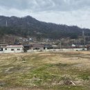 솔밭 1994 이미지