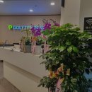 골프존파크 가남현대스크린 | [서울 스크린골프장 추천] 골프존파크 마곡NX24 최신 장비로 최고의 골프 경험