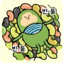 벚골