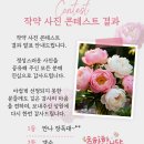 🎉작약사진 경연대회 결과 발표 이미지