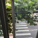 더즌스튜디오