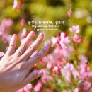 신데렐라네일 - 관악구 봉천로 500 | 신데렐라네일