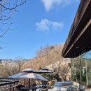 포레스트 리솜 이미지