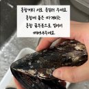 섭 이미지