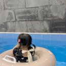 더모스트풀빌라펜션 이미지