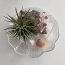 GR(전라남도)-[산정길]-상-1 | 24년 3월 일상 모음.zip (+신혼부부밥상)