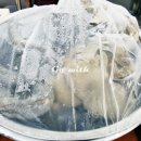 튀어라 김떡순 이미지