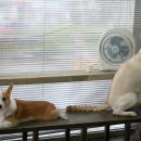 헤어박스 이미지