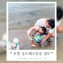 CU포항송도해변점 | 18년만에 재개장 포항 송도해수욕장 편의시설 위치 파라솔 대여