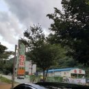 솔밭캠프