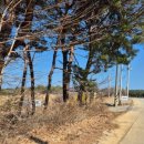 하루펜션 | 🌊 정동진에서 머문 하루, 마망펜션 후기 🌊