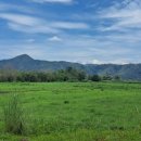 초원염소농장 이미지