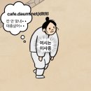 이번에 시범운행한 좌석없는 지하철에 대한 다른 시선.twt 이미지