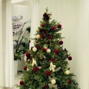 우리동네 힐링샵(논현점) | 신논현역 미용실 추천 박준뷰티랩 지연 디자이너 복구펌 리얼후기