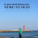 사계올레 | 제주도 서귀포 여행코스 추천｜사계해안·송악산 둘레길 올레길 러닝코스