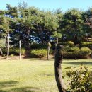 옥천군군북면대정보건진료소 | 송시열도 반한 ‘부소담악’의 멋진 풍광, 대청호오백리길 7구간(부소담악 길)