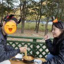 [속리산통나무펜션] 가을느낌물씬