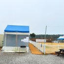 소라잡는댕댕이 | 안면도애견펜션 애견인들이 좋아할 만한 소라잡는댕댕이펜션