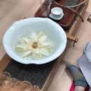 새빛 행정사사무소 이미지