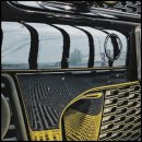 마이온게러지 이미지