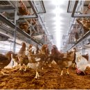 한구목장 이미지