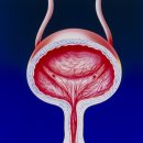 나루동물병원 이미지