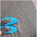 바로이사익스프레스 이미지