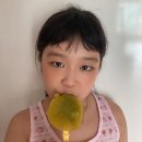 [독일피엠]:독일PM/피엠쥬스/피엠후기/젤슈츠