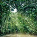 석호공원 이미지