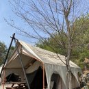 가족소풍캠핑장 | 용인 소풍캠핑장 글램핑 후기 라동 자리 꿀팁(아이와 캠핑)