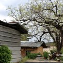 소백산마을농촌체험휴양마을 이미지