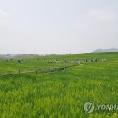 광신농장 이미지