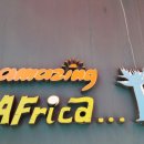 어메이징 아프리카 이미지