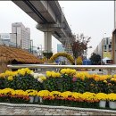 상징가로공원 네이버블로그