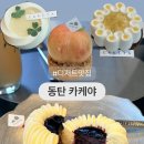 이월삼십일일(주) | 동탄 카케야 정말 솔직한 후기 디저트 맛집의 타이틀을 가질만한가