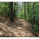 비학산 누리길 이미지