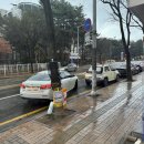 수원국제행정사사무소 이미지