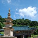 표충사1 이미지