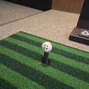 송 골프아카데미 이미지