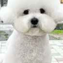 행복튼튼동물병원 이미지