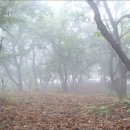 밤나무골 이미지