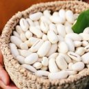 은옥농장 이미지