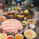 금고기마포