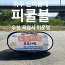 피클볼피플 이미지