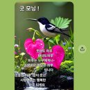 영광의 찬송이 되는 아들!♥♥ 이미지