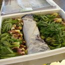 용강농장 이미지