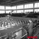 중앙태권도 이미지