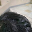 연산 해수피아 이미지